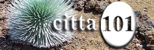 Citta101
