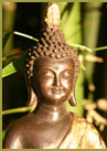 Insight Meditation Community Houston